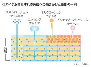 美肌を目指す、すべての人に。｢エルテオシリーズ｣ | きれいのレシピ by