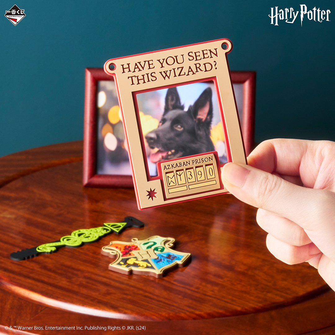 一番くじ WIZARDING WORLD Series 2｜一番くじ倶楽部｜BANDAI SPIRITS