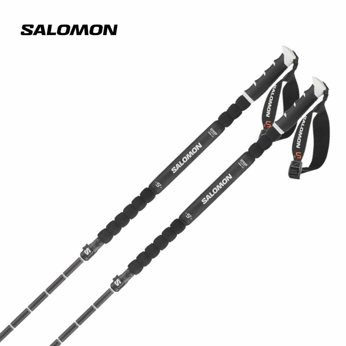 SALOMON】サロモンスキーストックポールならスキー用品通販ショップ