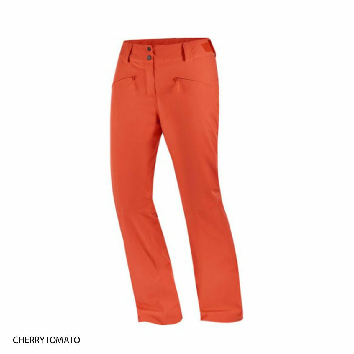 スキーウェア スキーパンツ レディース パンツ SALOMON サロモン