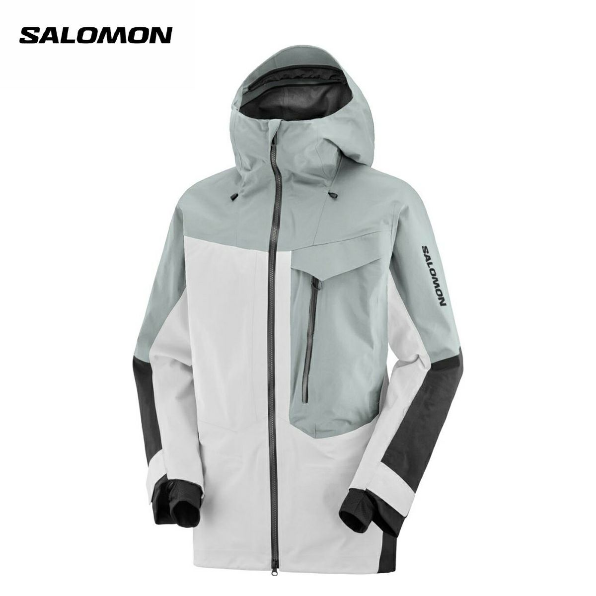 SALOMON サロモン スキー ウェア レディース ジャケット＜2025＞MOON