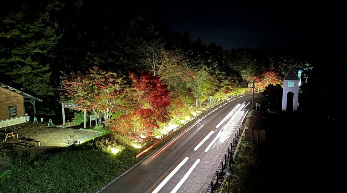 道の駅草津運動茶屋公園 紅葉ライトアップの様子 2024年10月31日撮影