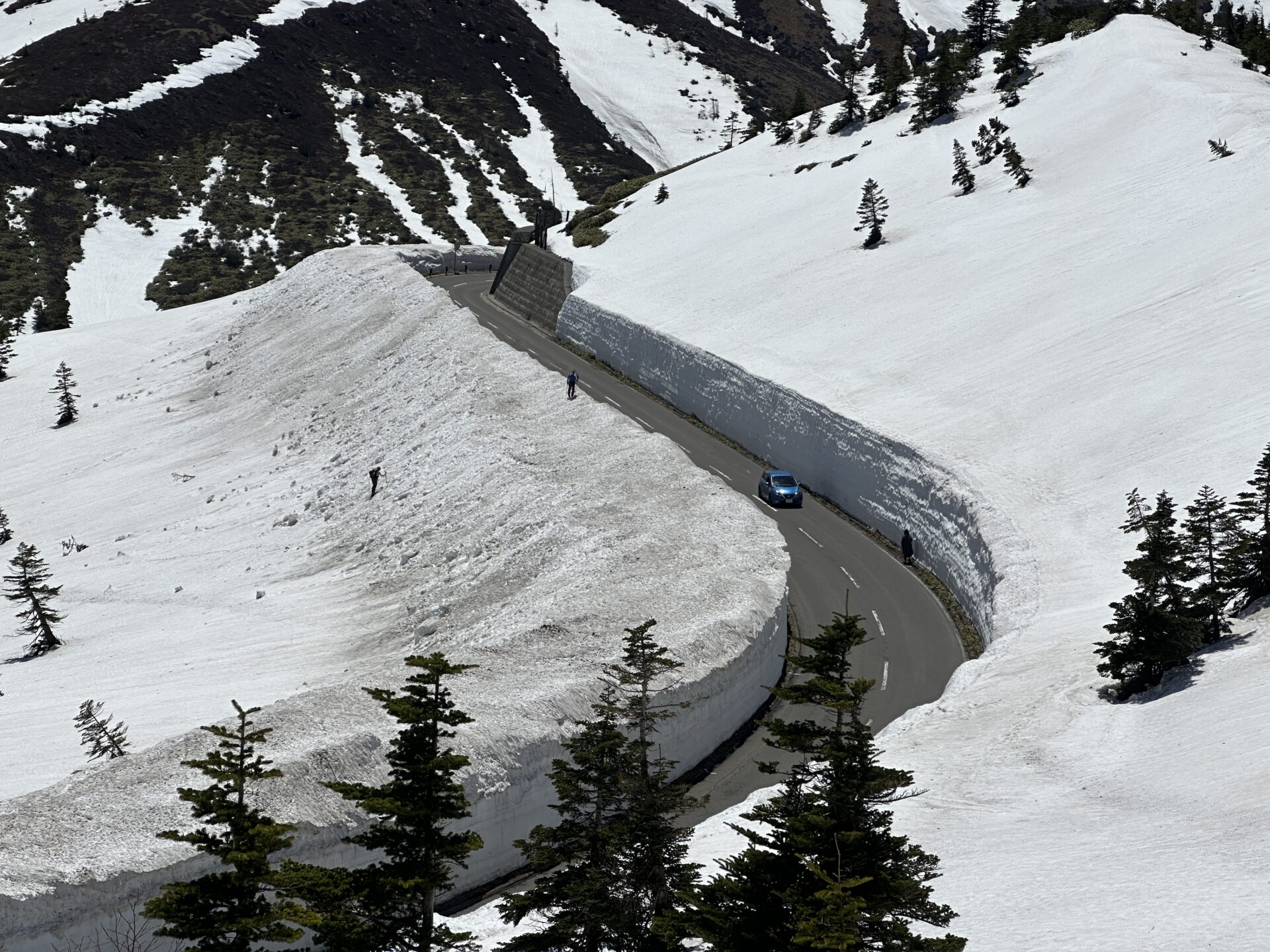 志賀草津高原ルート 雪の回廊の様子 2025年4月24日撮影 – 【公式】草津