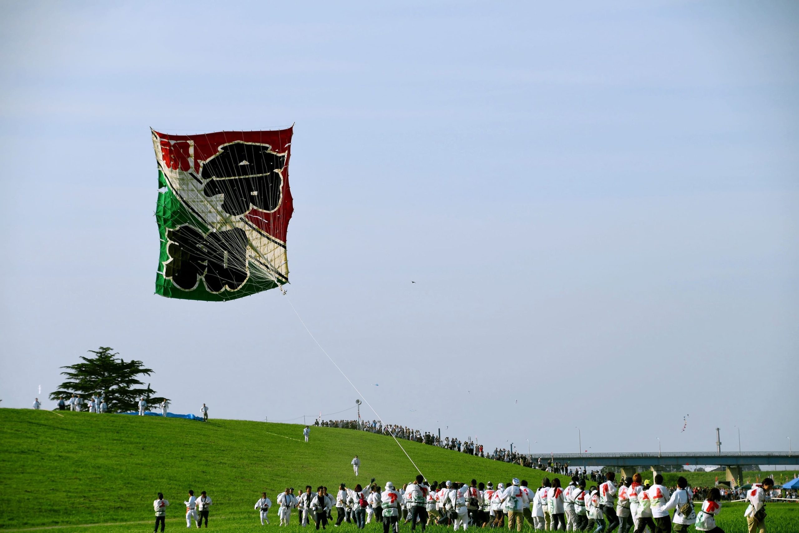 春日部市「庄和大凧文化保存会」 | 毎年5月に開催される日本一の大凧