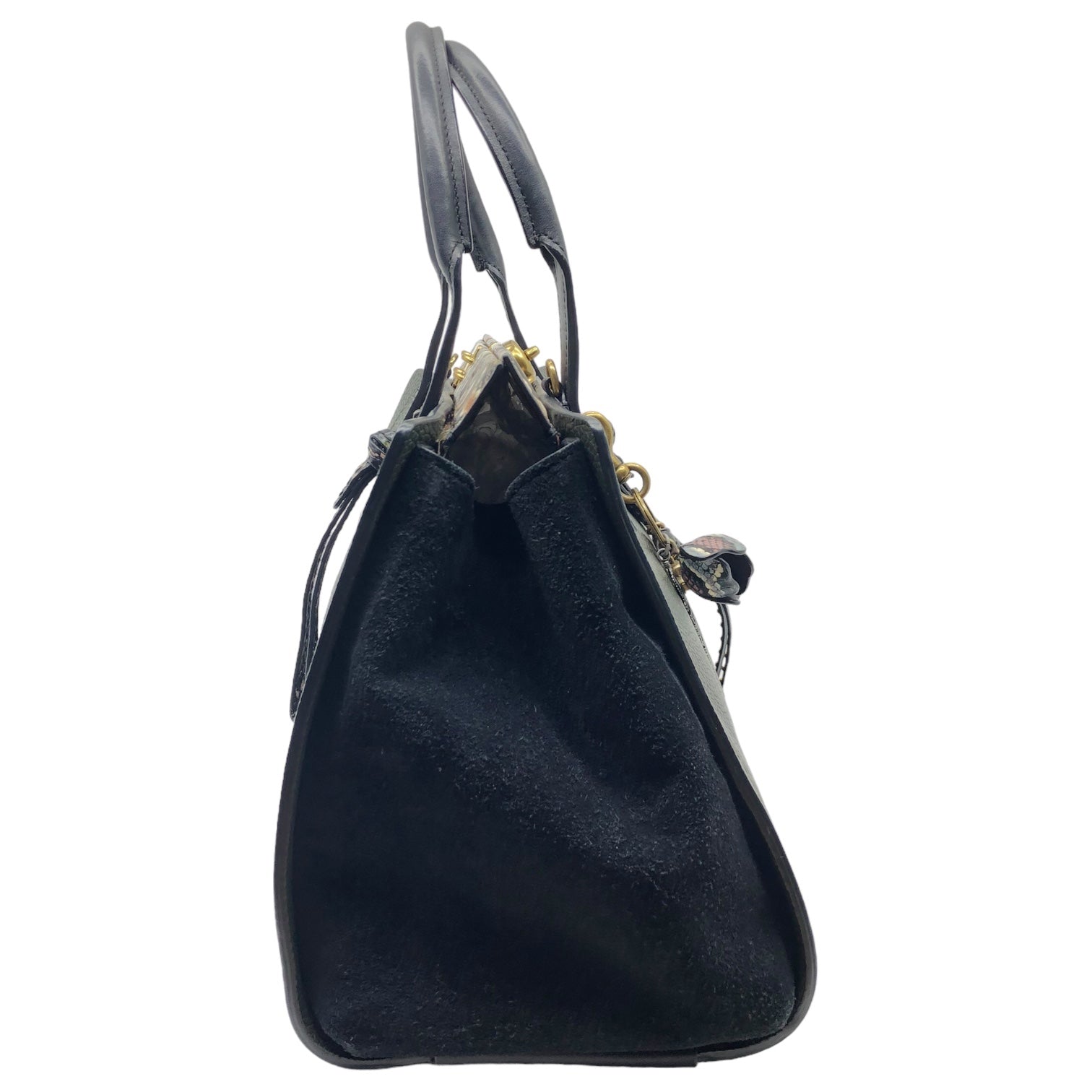 COACH(コーチ) トループ キャリーオール35 ハンドバッグ パイソン