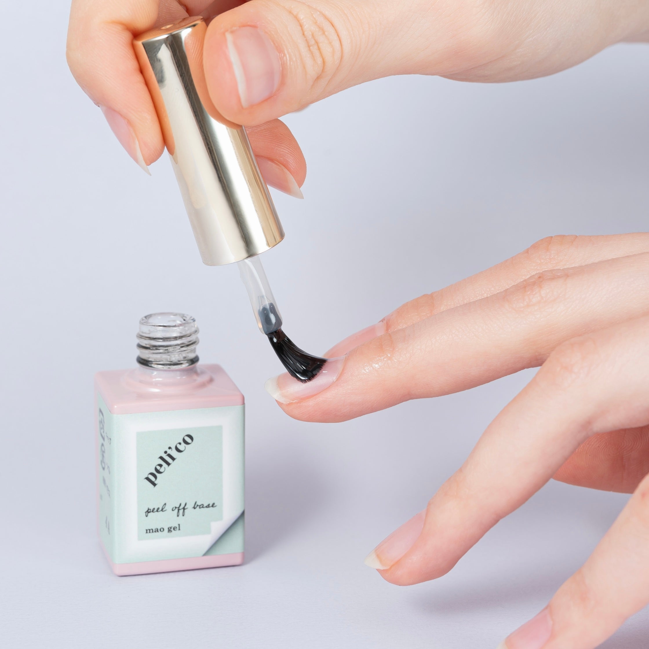 ベース・トップ