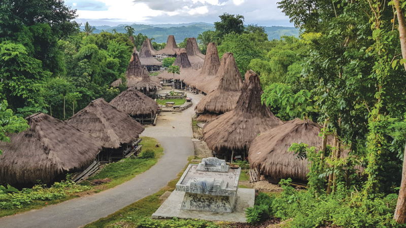 インドネシアイカット Indonesia IKAT | マライカ