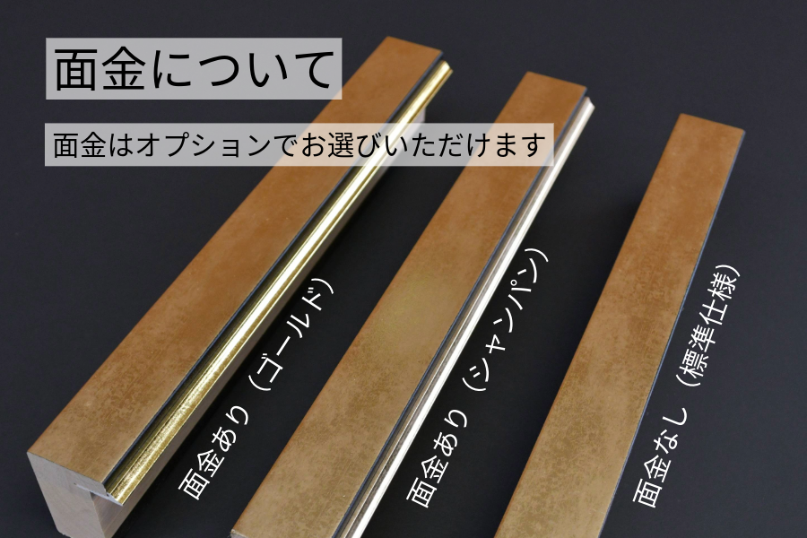 マルオカ公式オンラインショップ / フリーフレームT型(FPMS日本サイズ）