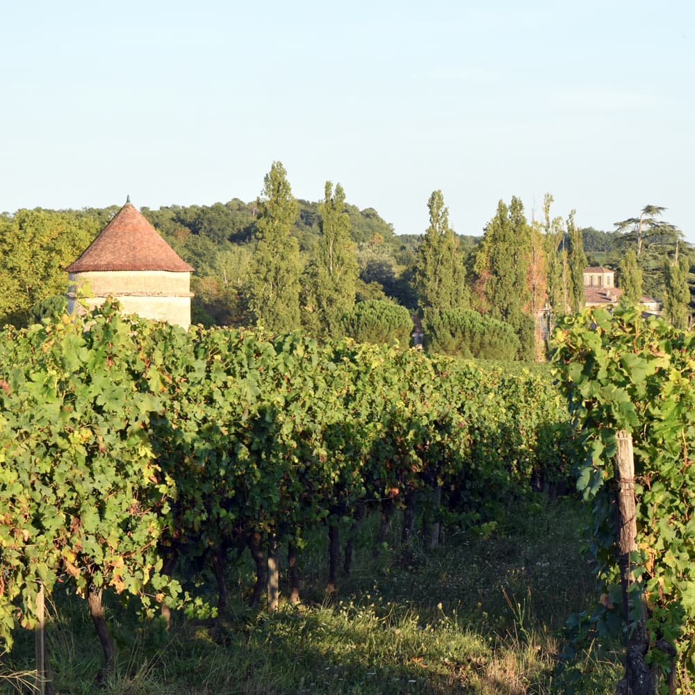 ボルドー 干支ワイン（午） 赤 フランス(ボルドー地方) オーガニック