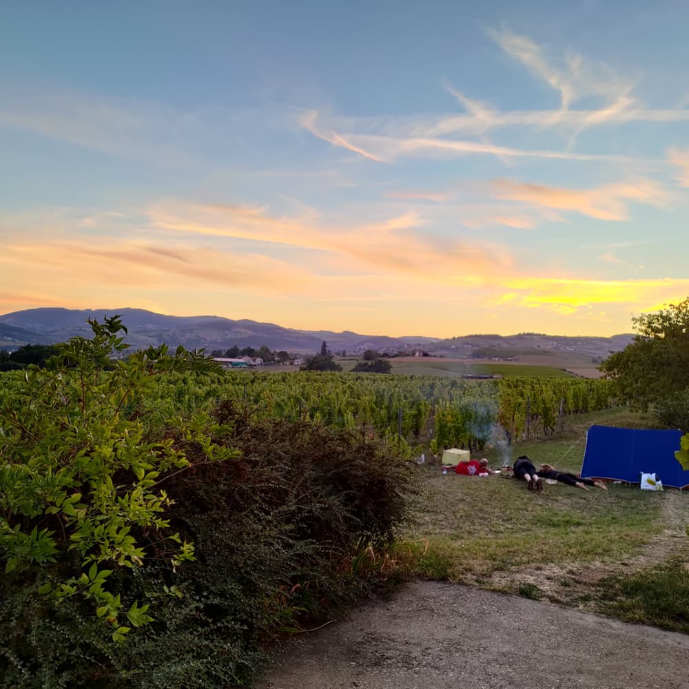 ボジョレーヌーヴォー2025 赤 フランス(ボジョレー) オーガニック