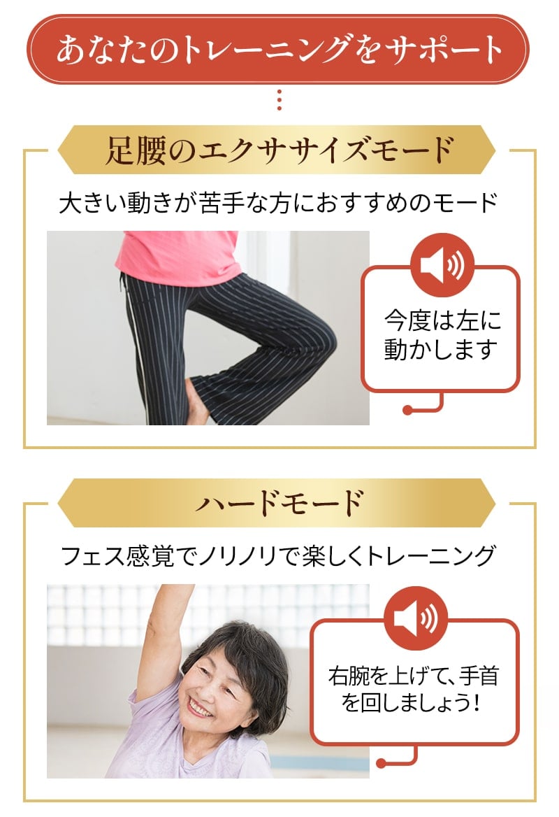 ほんとに乗ってるだけ！ ブルブルボーテ プレミアム | 日テレポシュレ