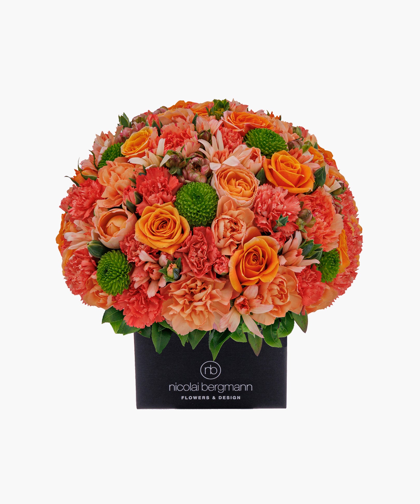 Sun Pop（サン ポップ）