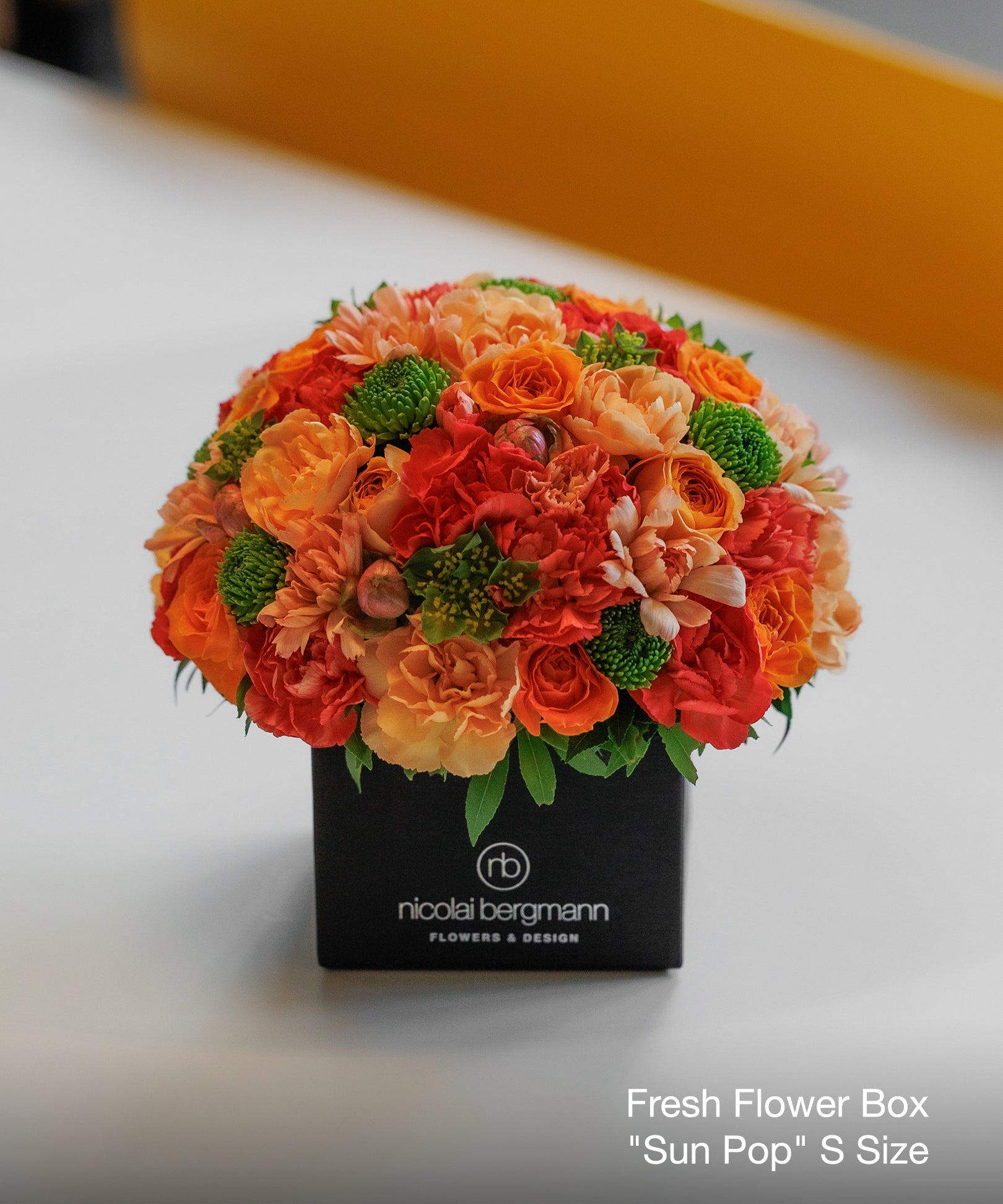 202013082_05.jpg?v=1751427063&