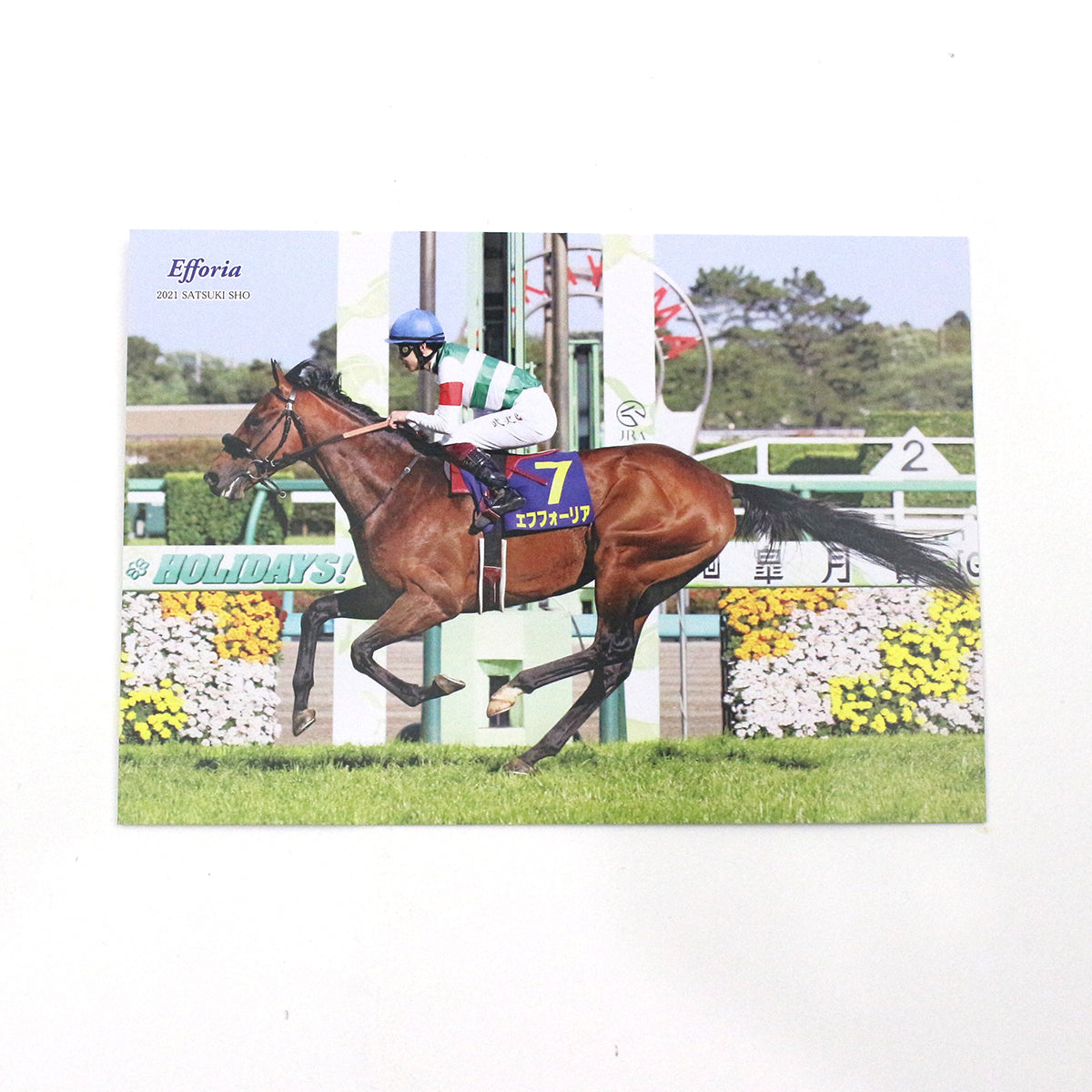 07251119_60fcca40a944b.jpg?v=