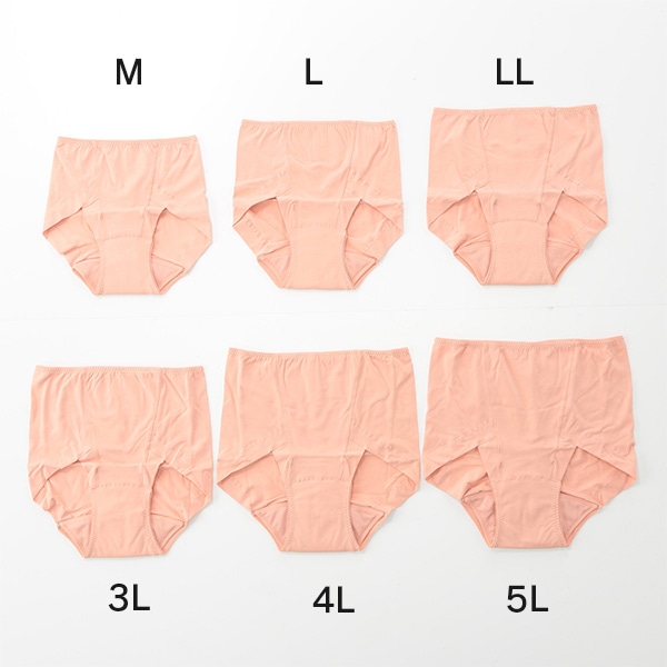 スタイルセレブリティ吸水消臭ショーツ 4色セット | ABCミッケ