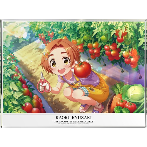 アイドルマスター シンデレラガールズ アイドルフォトパネル 龍崎 薫