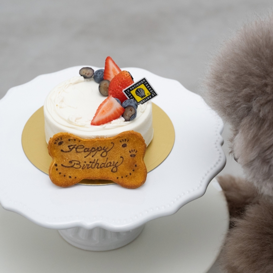 ワンワンケーキ ヨーグルト（犬用ケーキ） ル パティシエ タカギ