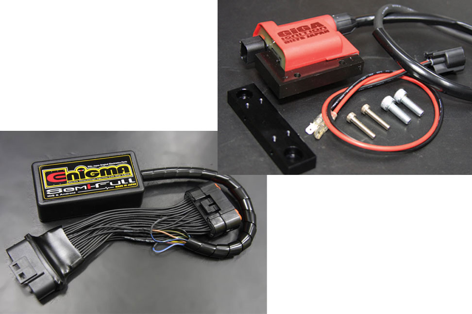 シグナスX : DiLTS JAPAN ONLINE SHOP: