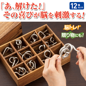 知恵の輪 12種セット | がくぶん特選館｜創業100周年