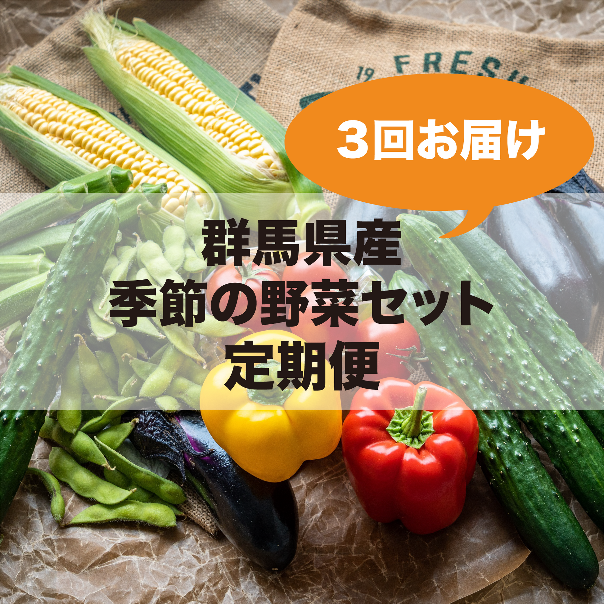 群馬県産 季節の野菜セット定期便（3回お届け） – GCCアグリテック