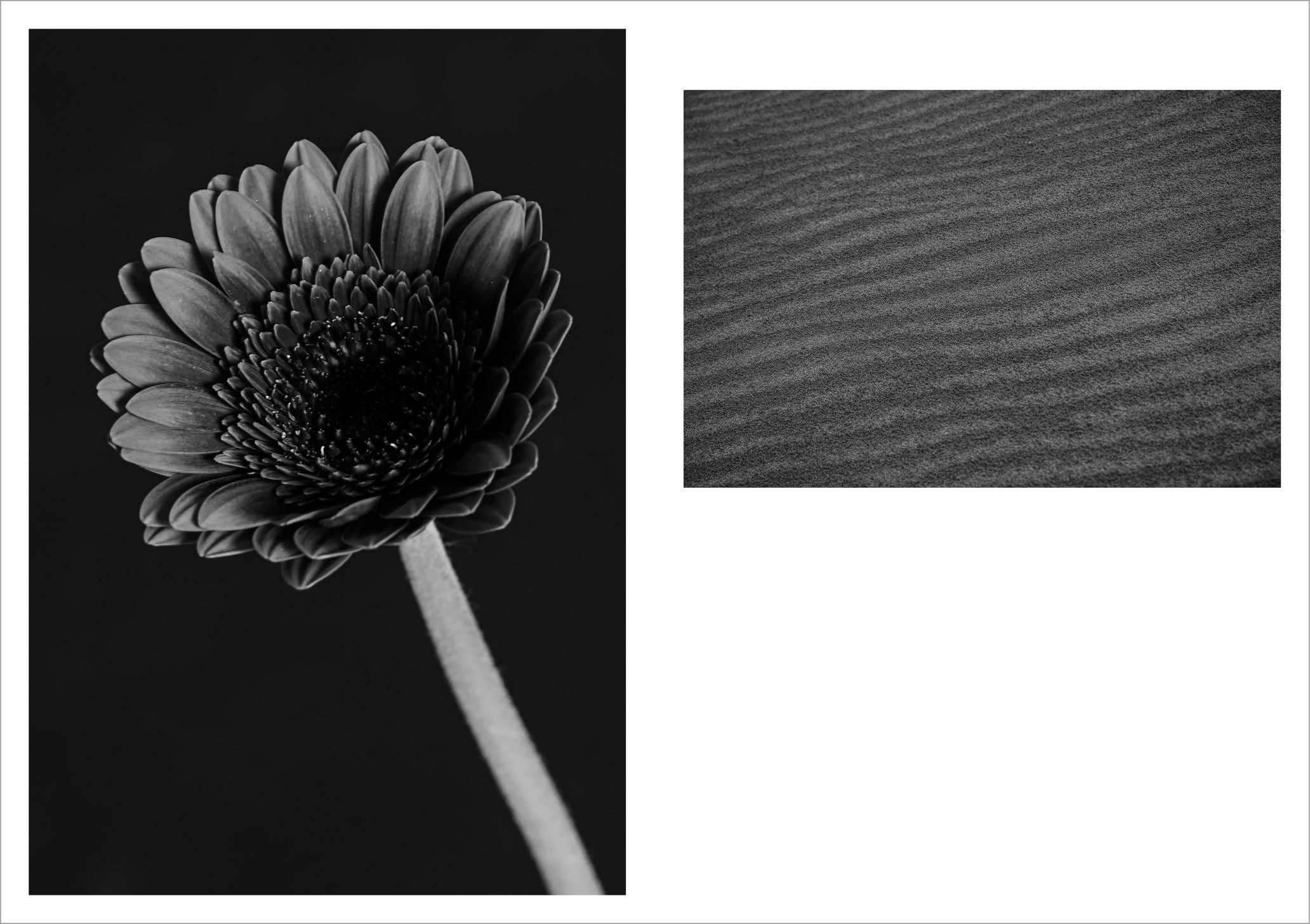 古屋呂敏写真集「MY FOCAL LENGTH」（送料無料） – GENIC SHOP