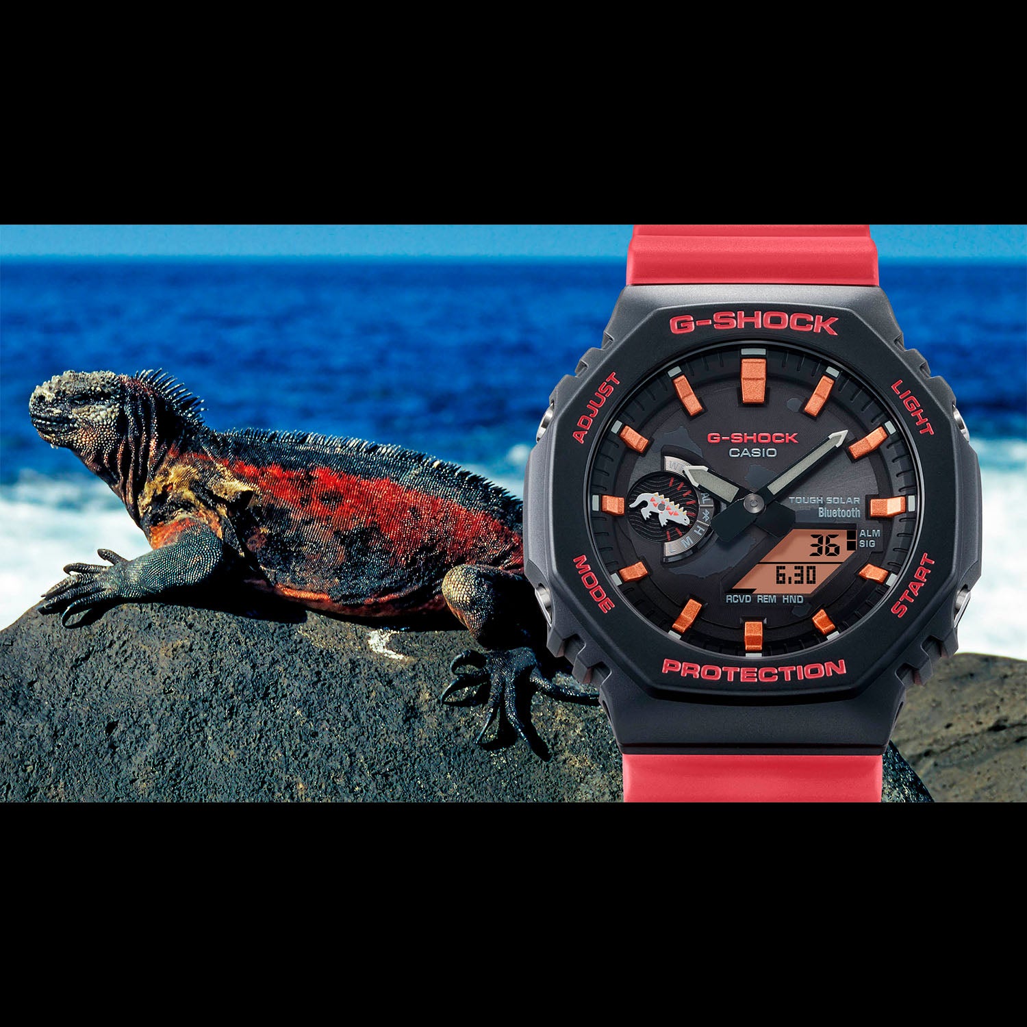 Gショック】チャールズ・ダーウィン財団コラボモデル / GA-B2100CD