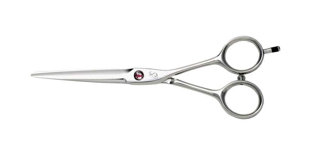 5S COSMOS – HIKARI Corporation