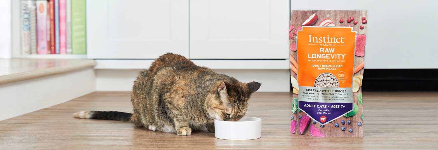 インスティンクト 猫用ローフードフリーズドライ総合栄養食 ロー