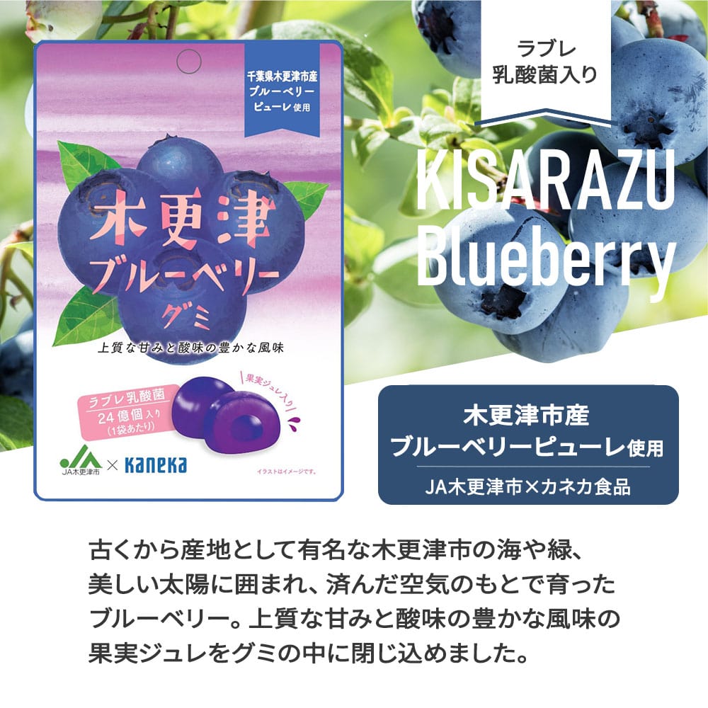 ハクページブルーベリーミント1個 グレープ1個 ドイツの手巻きたばこ