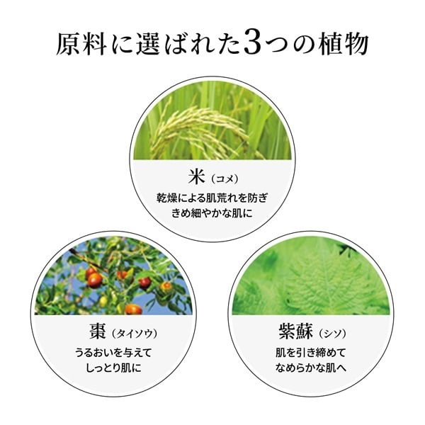 オリエンタルプランツ 発酵ローション-60（150mL）｜素肌を主役に