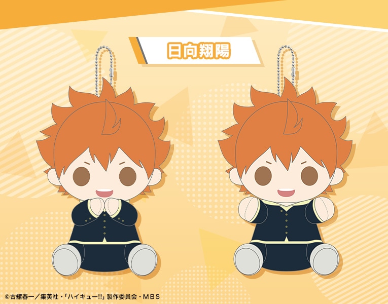 限定特典付き】ぴたぬい まぐねっと 日向翔陽｜コトブキヤオンライン