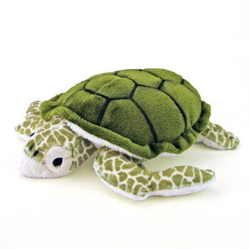 楽天市場】カメ ぬいぐるみ アオウミガメ Mサイズ | 水族館 亀 カメ 海