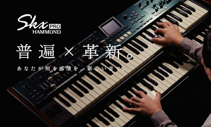 楽天市場】【送料無料】SUZUKI スズキ 電気大正琴 こはく タイプII