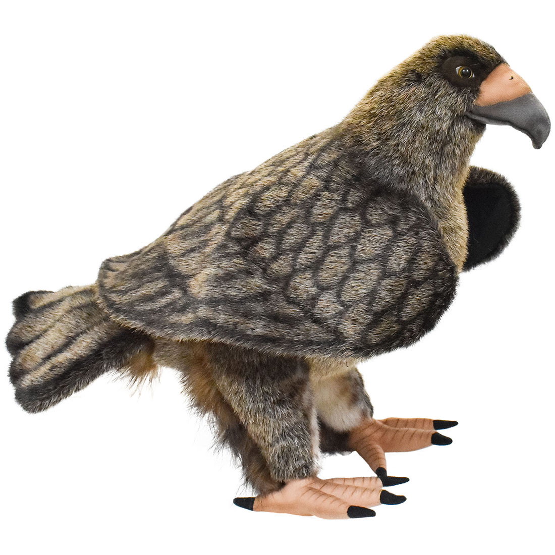 楽天市場】ハンサ【HANSA】リアルぬいぐるみハクトウワシ 70cm