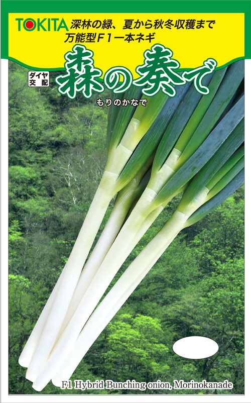 楽天市場】ネギ 関羽一本太 【コート5000粒】 トーホク 営利用 プロ