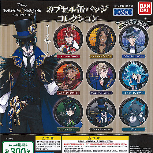 楽天市場】ディズニー ツイステッド ワンダーランド カプセル 缶バッジ