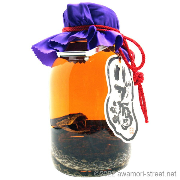 楽天市場】奄美大島 奄美ハブ酒本舗 奄美ハブ酒 ハブ入り 600ml 35度