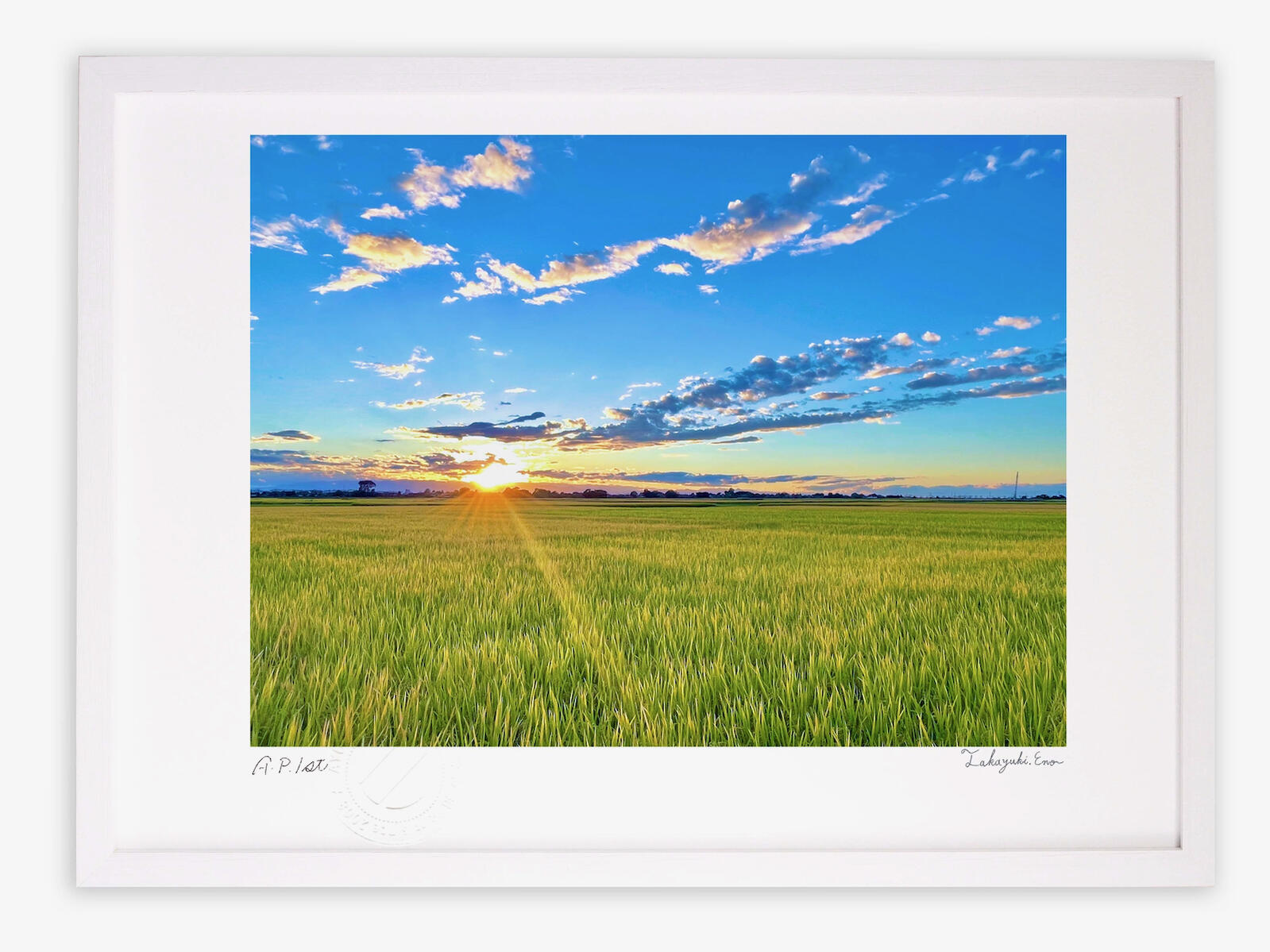 楽天市場】【スーパーSALE半額】版画 絵画 ひまわり畑 アートフォト