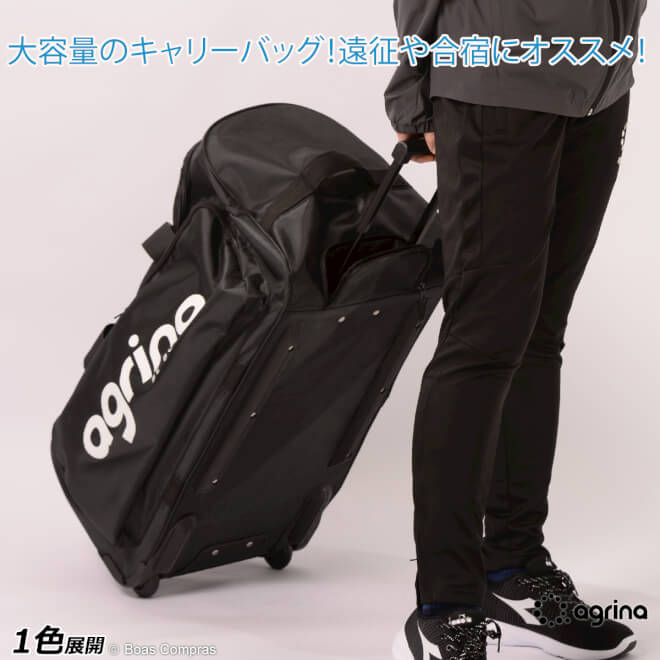 楽天市場】【 ポイント 2倍 】LS 2WAY CARRY BAG ルースイソンブラ