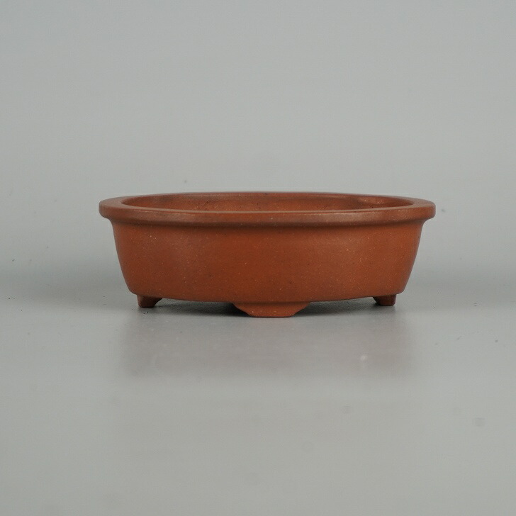 楽天市場】盆栽鉢 壱興造記 渡辺 一弘 小型 長辺 約12.8cm 長方鉢 隅入