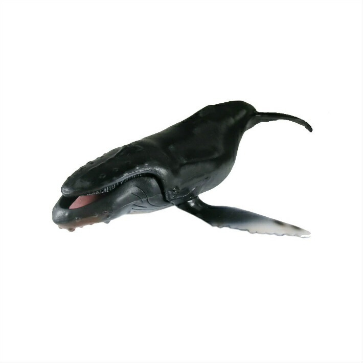 楽天市場】海面から飛び出した ザトウ クジラ（鯨）・ビッグフィギュア