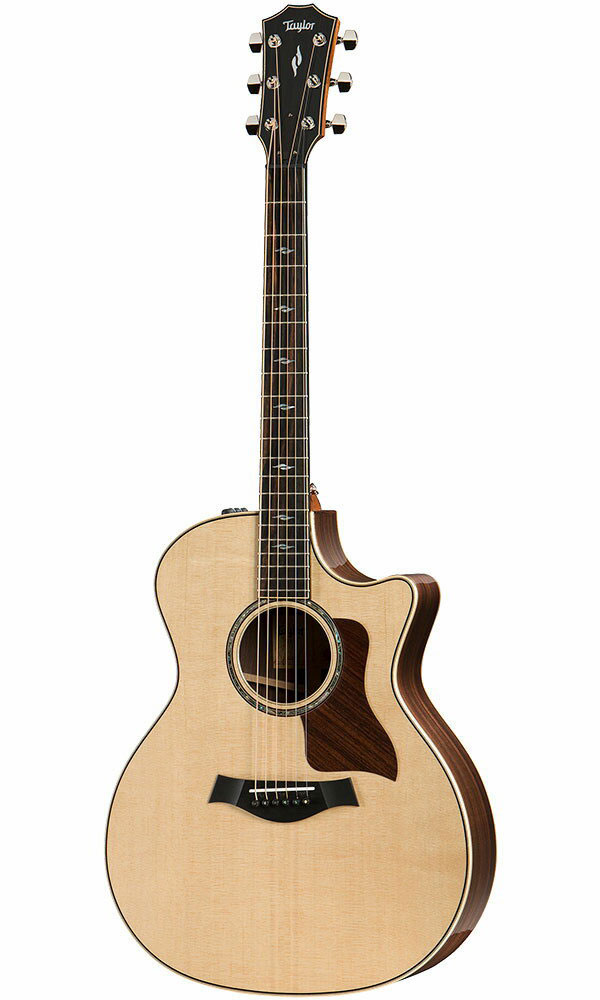 楽天市場】Taylor（テイラー）214ce DLX : STARROW ONLINE STORE