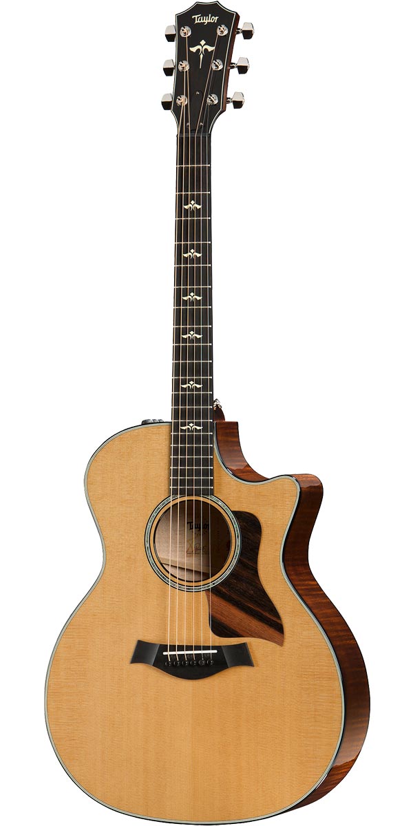 楽天市場】Taylor（テイラー）414ce-R Rosewood V-Class : STARROW