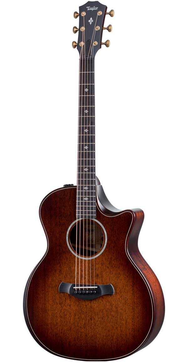 楽天市場】Taylor（テイラー）224ce Koa DLX : STARROW ONLINE STORE