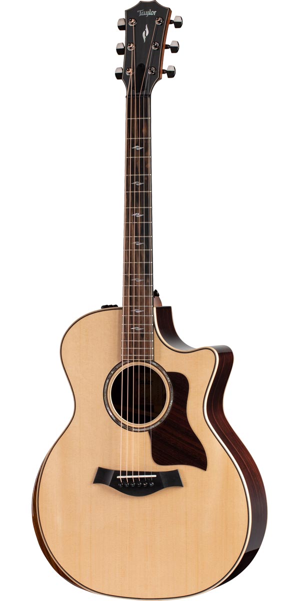 楽天市場】Taylor（テイラー）224ce Koa DLX : STARROW ONLINE STORE