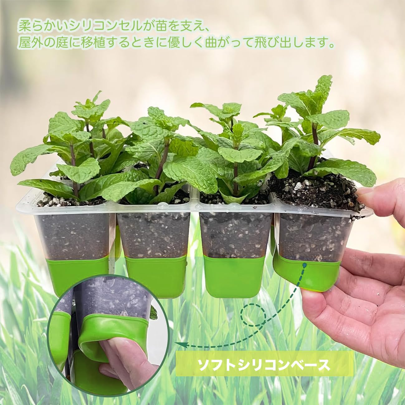 楽天市場】育苗ポット 5個セット 育苗箱 12穴 種子トレイ 育成ポット