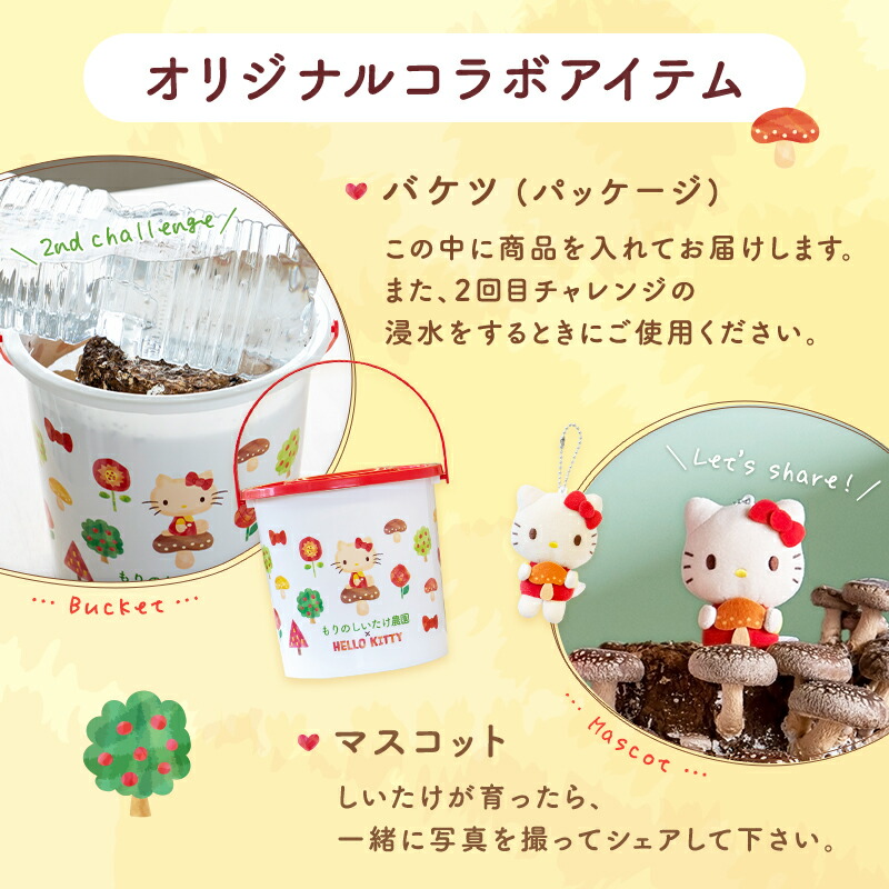 完売しました】【ラスト5時間限定49%OFF】もりのしいたけ農園×HELLO