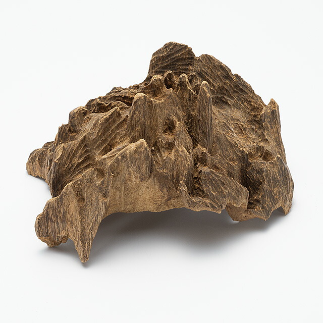 楽天市場】プレミアム沈香(じんこう) 原木姿物 六国「寸門多羅(すも