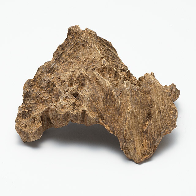 楽天市場】プレミアム沈香(じんこう) 原木姿物 六国「寸門多羅(すも