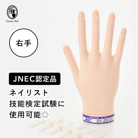 JNEC認定モデルハンド ファイル シャイナー テーブルペーパー ガーゼ